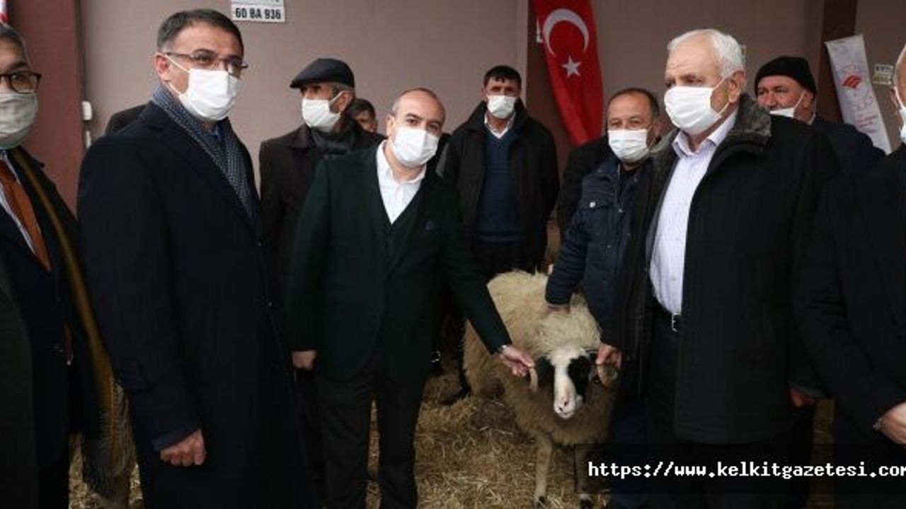 Köyümde Yaşamak İçin Bir Sürü Nedenim Var