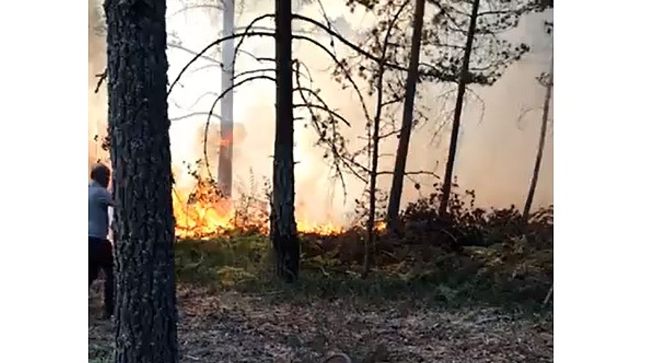 Reşadiye’de Söndürülen Ormanda Yeniden Yangın Çıktı