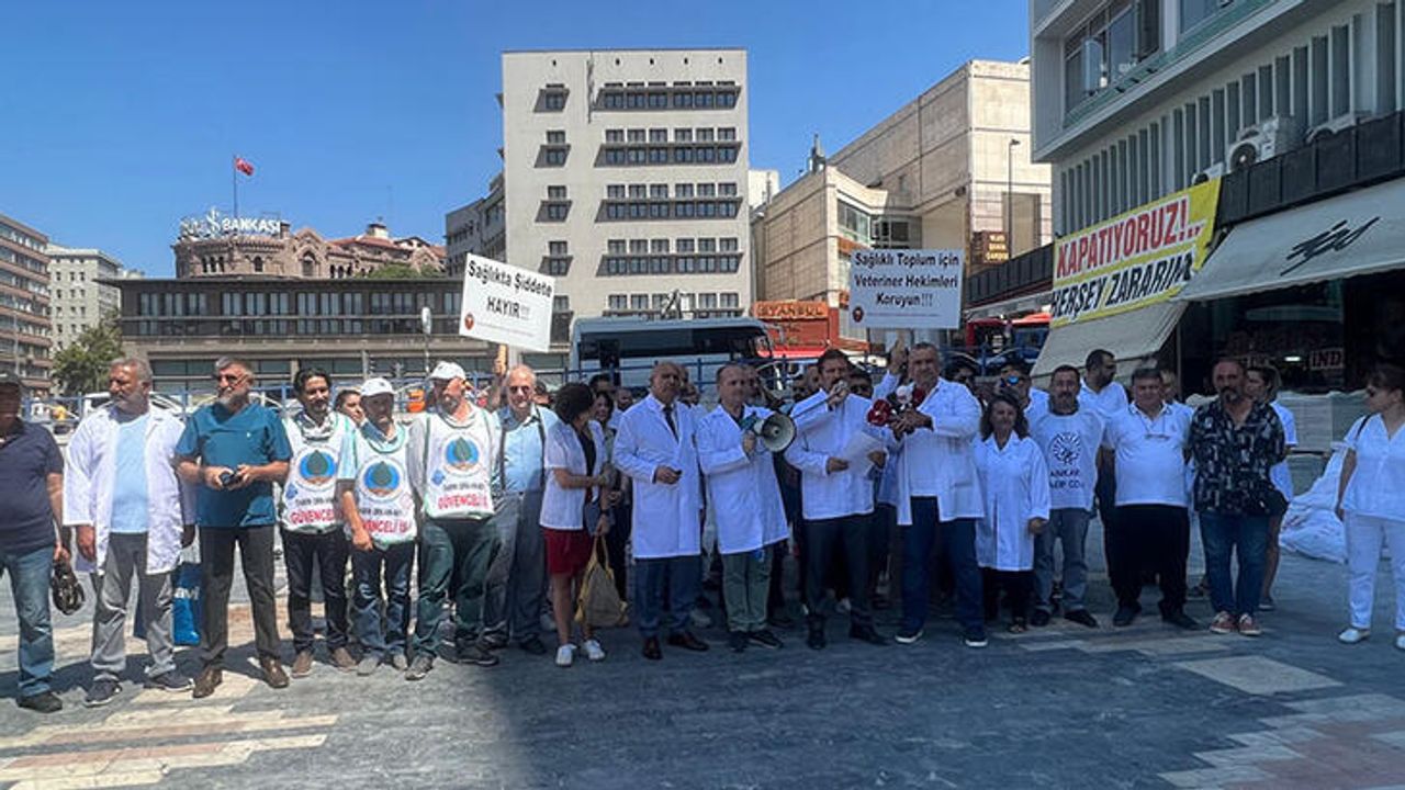 Türkiye’de Veteriner Hekimler, 1 Günlüğüne İşi Bıraktılar