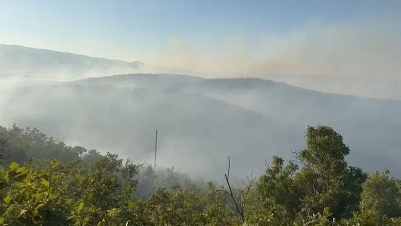 Bingöl'deki Orman Yangınnda Soğutma Çalışmaları Devam Ediyor