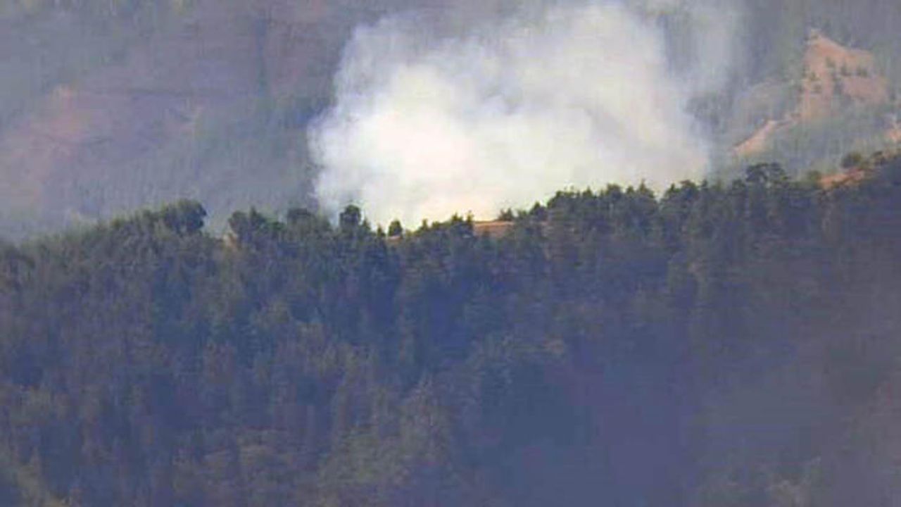 Adana Orman Yangını Kontrol Altına Alındı