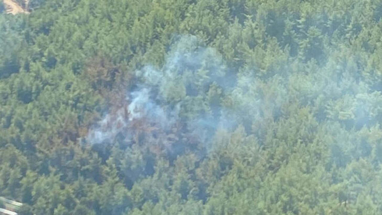 İzmir Menderes'de Orman Yangını Meydana Geldi