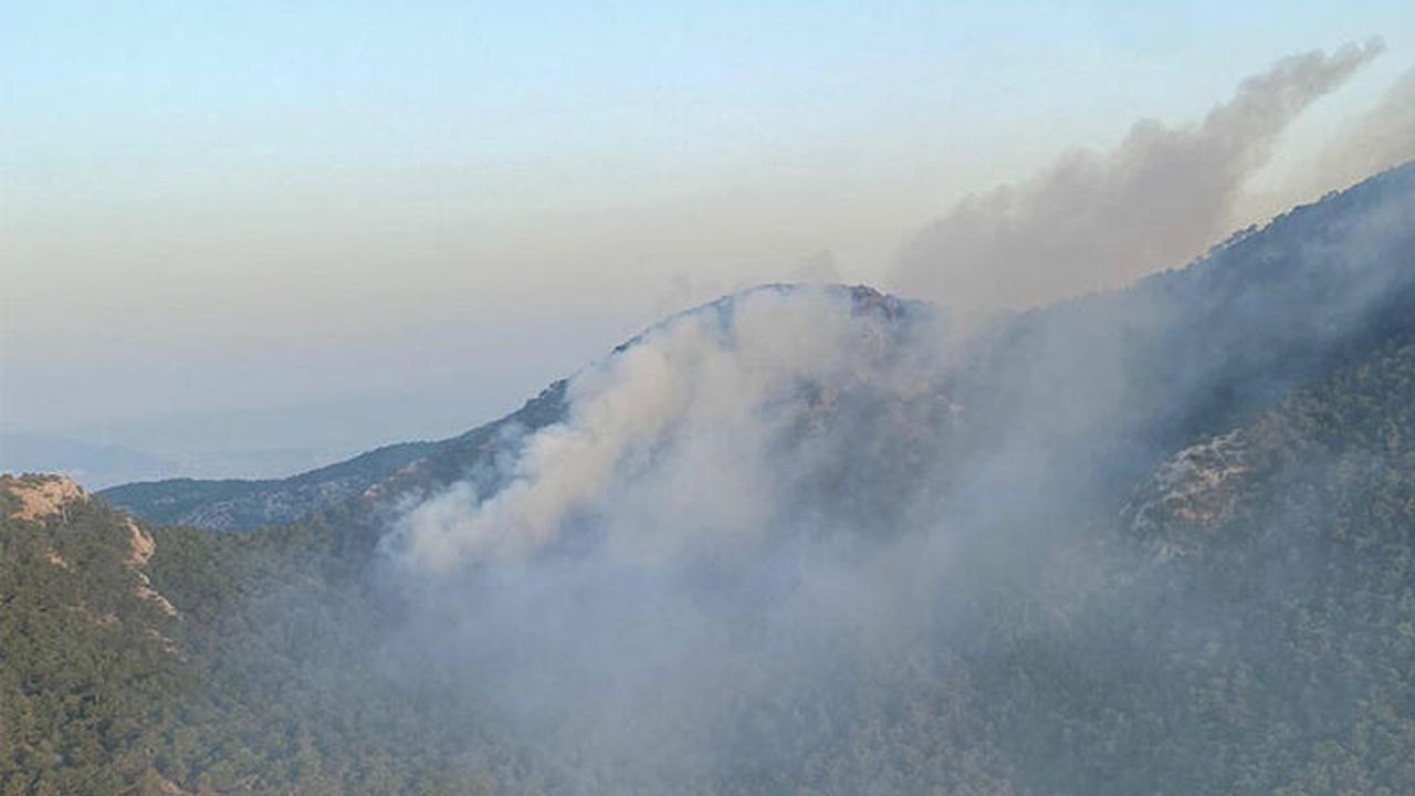 İzmir'de Sabah Saatlerinde Orman Yangını Meydana Geldi