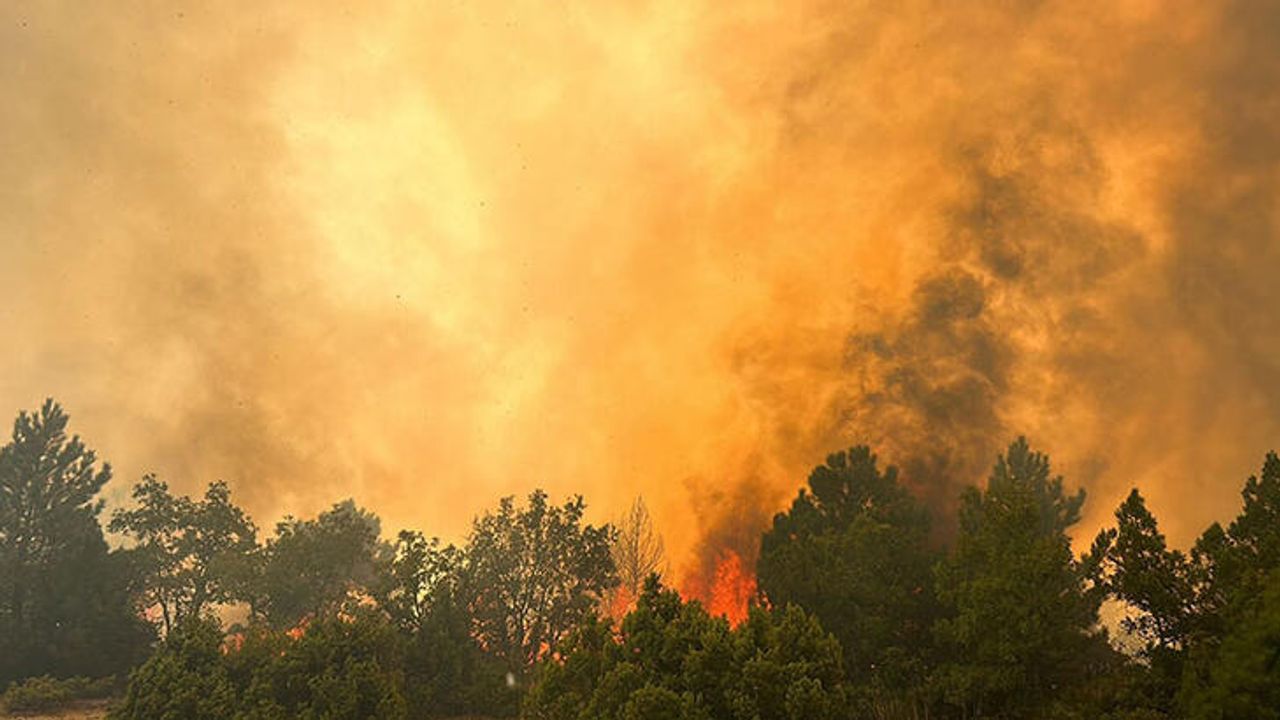 Kütahya’da Orman Yangını Meydana Geldi