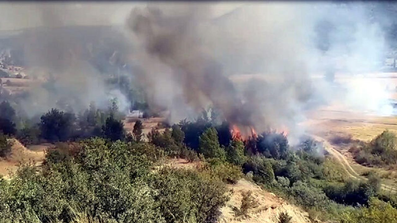Kastamonu'da Yangın, Kontrol Altına Alındı