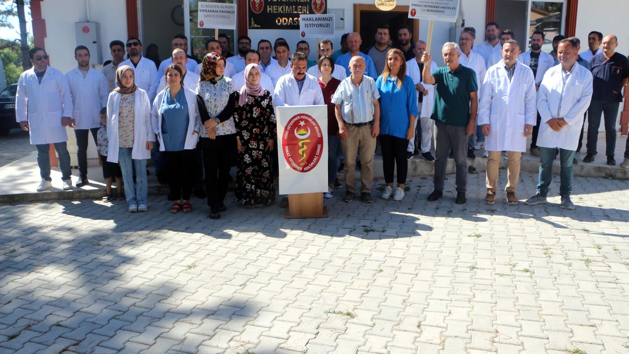 Tokat'ta Veteriner Hekimler İş Bıraktı