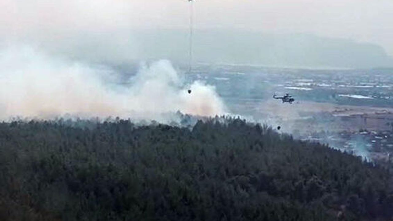 İzmir Gaziemir'de orman yangını meydana geldi