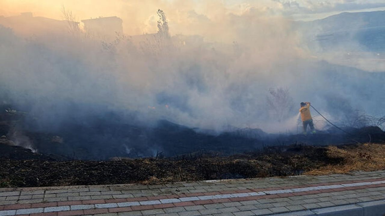 Bandırma'daki Otluk Alanda Çıkan Yangında 80 Dönüm Alan Zarar Gördü