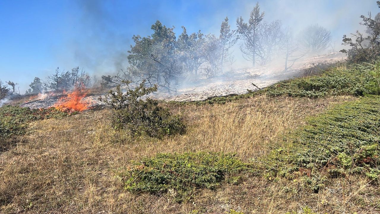 Tokat’ta Çıkan Orman Yangını 1 Saate Kontrol Altına Alındı
