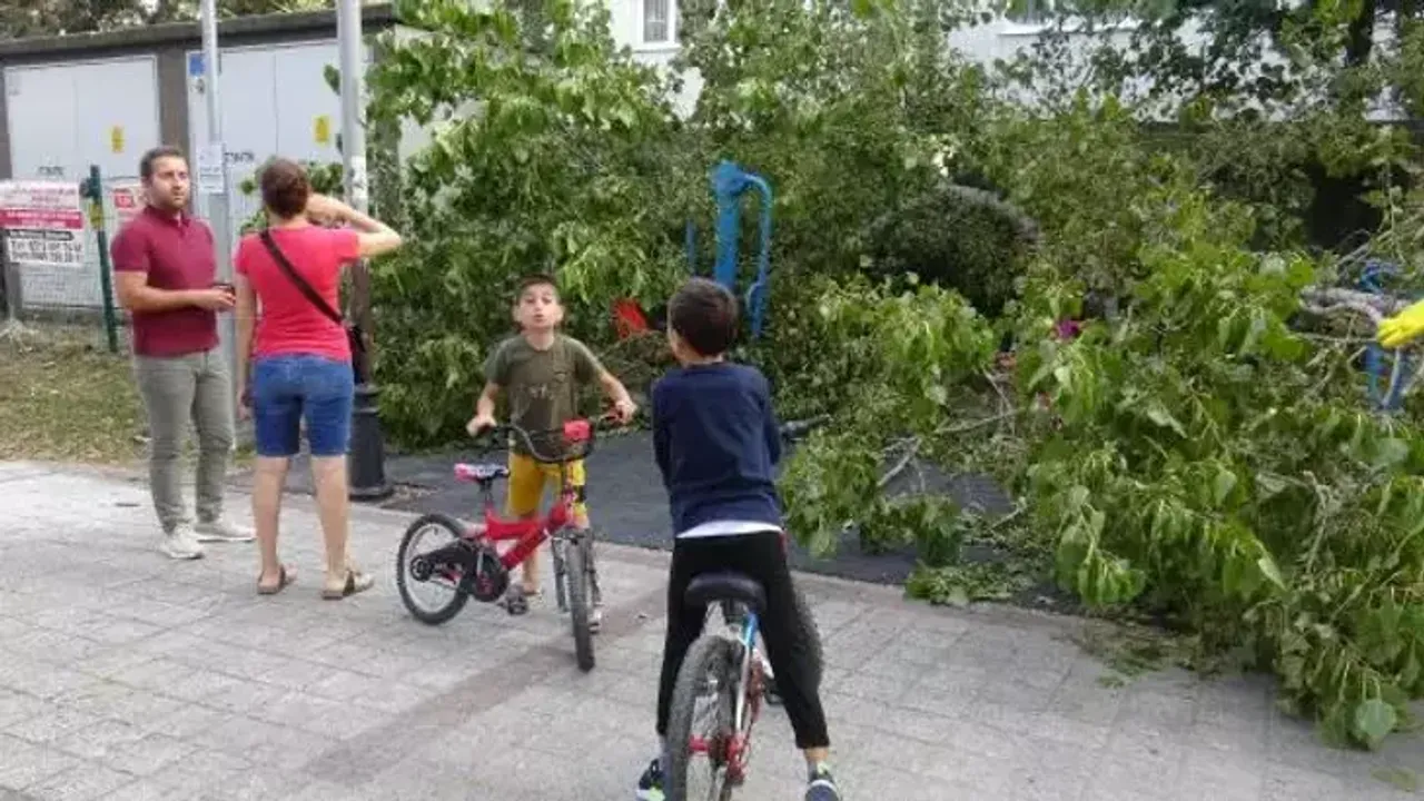 Parkta Oynayan 3 Çocuğun Üzerine Ağaç Devrildi