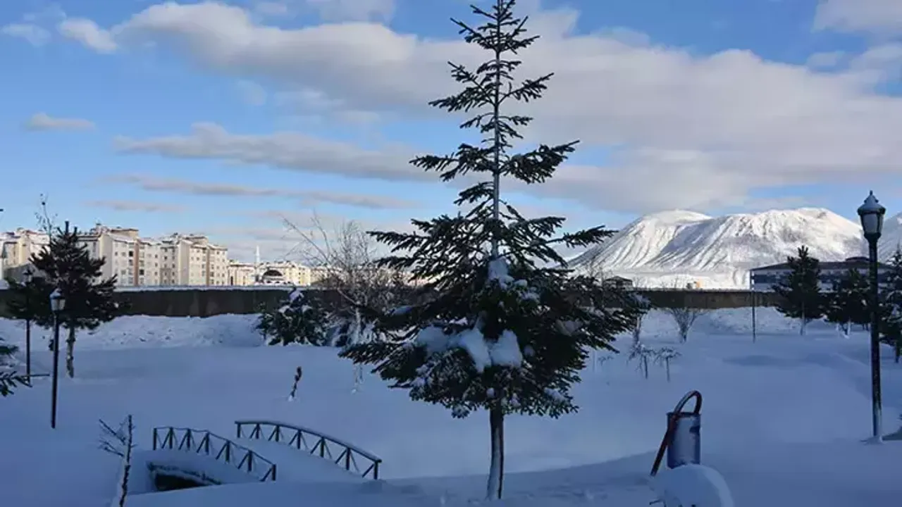 Bitlis'te 49 Köy Yolu Kardan Kapandı