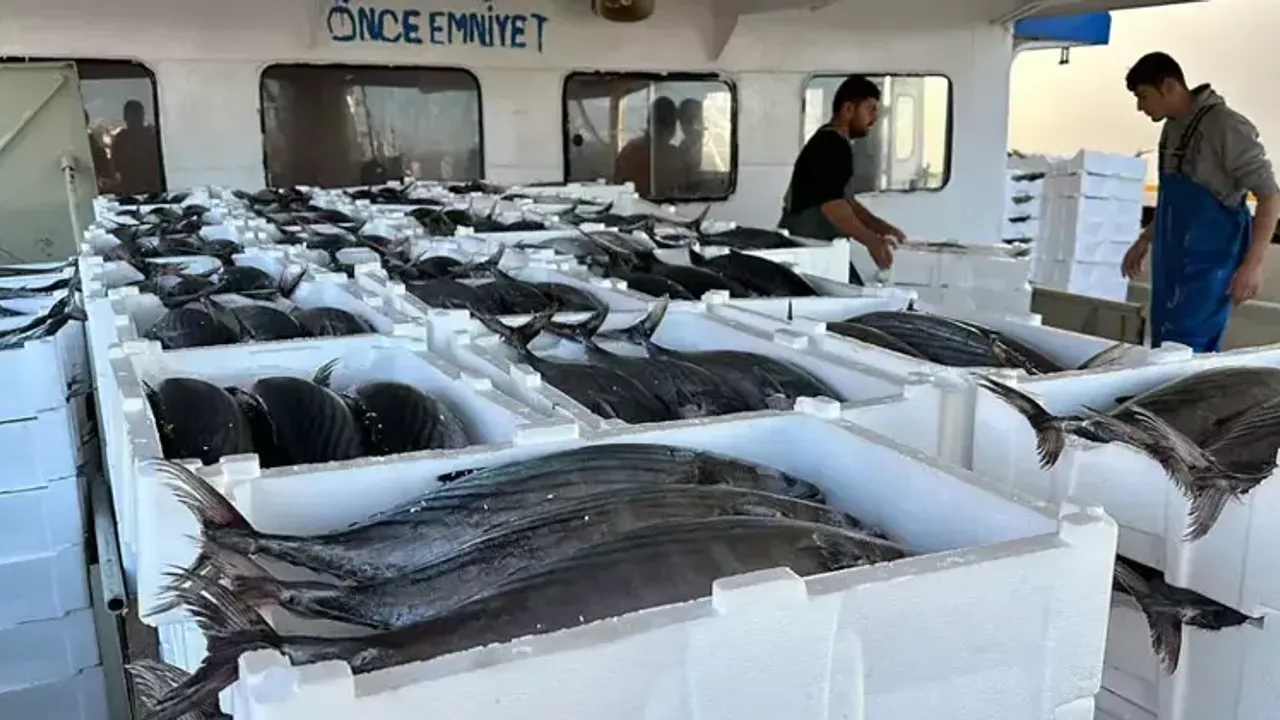 Tekirdağlı Balıkçılar, 30 Ton Torik Avladı