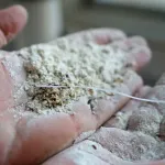Tarsus’ta 30 Ton Bozuk Un İmha Edildi
