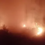 Alanya'da Orman Yangınında 2 Dönüm Alan Zarar Gördü