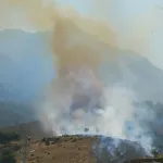 Manisa'da Orman Yangını Meydana Geldi