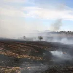 Uzmanından 'Anız Yakmak Yerine Sürerek Toprağa Karıştırma' Önerisi