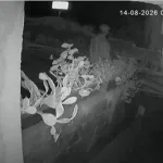 Üsküdar Ve Beykoz'da Haraç Almak İçin Evleri Kurşunlayan 4 Şüpheli Yakalandı