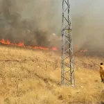 Diyarbakır'da Örtü Yangını