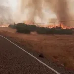Elazığ'da Örtü Yangını