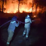 Serik'teki Orman Yangınının Enerjisi Düşürüldü