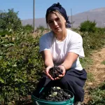 Dondurma Yerken Tanıştığı Aronya Bitkisinin Üreticisi Oldu