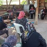 Niksar’da Kadın Çiftçilere Ve Kooperatif Üyelerine Kapsamlı Eğitim