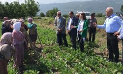 CHP Heyeti Tokat’ta Tarım İşçileriyle: “Alım Gücümüz Bitti”