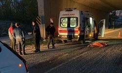 Zile'de Yolun Karşısına Geçerken Minibüsün Çarptığı Yaya Öldü
