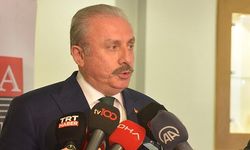 Meclis Başkanı Şentop: Deprem Araştırma Komisyonu Konusu Haftaya Görüşülecek