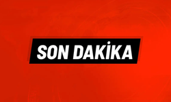 Terör PKK/KCK-PYD/YPG Mensubu Firari Rasim Akyol Yakalandı