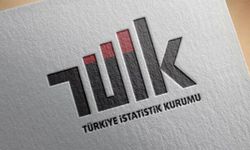 TÜİK: 2021'de Yurt Dışından Türkiye'ye 739 Bin 364 Kişinin Göç Etti