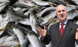 Prof. Dr. Samsun: Küresel Isınma Nedeniyle Avlanan Balık Miktarı Azaldı