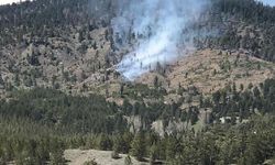 Konya'da Orman Yangını