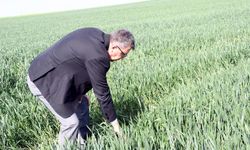 Prof. Dr. Orta: Son Yağışlarla Çiftçinin Sıkıntısı Son Buldu