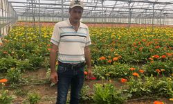 Erbaa Kesme Çiçek Üreticileri Afette Yıkılan Seraları İçin Destek Bekliyor