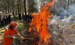 Orman Yangın Sezonu Başladı; Açıkta Ateş Yakmak Yasak