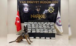 Van'da 60 Kilo Eroini Bobi Buldu