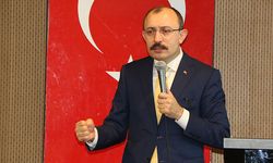 Bakan Muş: Erdoğan Gitsin Bir Şekilde Bakarız Yolumuza Demekle Memleket İdare Edilmiyor