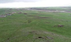 Erzurum'a 2,5 Ayda Toplam 229,9 Kilogram Yağış Düştü; Çiftçinin Yüzü Güldü
