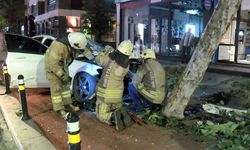 Kadıköy’de Yoldan Çıkan Otomobil Elektrik Direğine ve Ağaca Çarptı; Sürücü Yaralandı