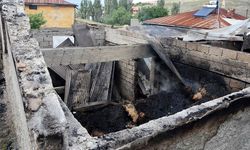 Köydeki Kundaklama Şüpheli Yangında 1 Gözaltı