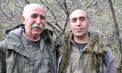 PKK/KCK'nın Gri Listede Aranan Sözde Yöneticisi İle 2 Terörist Etkisiz Hale Getirildi