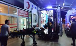 Adana'da Minibüs, Şarampole Devrildi: 7 Yaralı