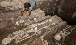 Tarihi İznik surlarındaki kazılarda çok sayıda insan iskeleti bulundu