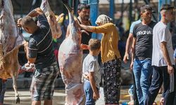 Sokakta Kurban Kesip, Atıklarını Gömenlere 10 Bin 319 Lira Ceza