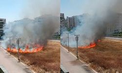 Diyarbakır'da Sitelerin Arasındaki Otlukta Yangın