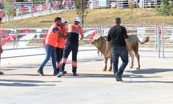Ankara'da 'Kurban Yakalama Timi' Göreve Hazır