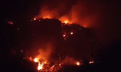 Muğla'daki Orman Yangını:1 Gözaltı
