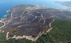 20 Günde Çıkan Orman Yangınında 3 Bin 160 Hektar Alan Zarar Gördü