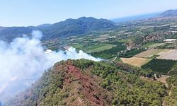 Muğla'da Orman Yangını